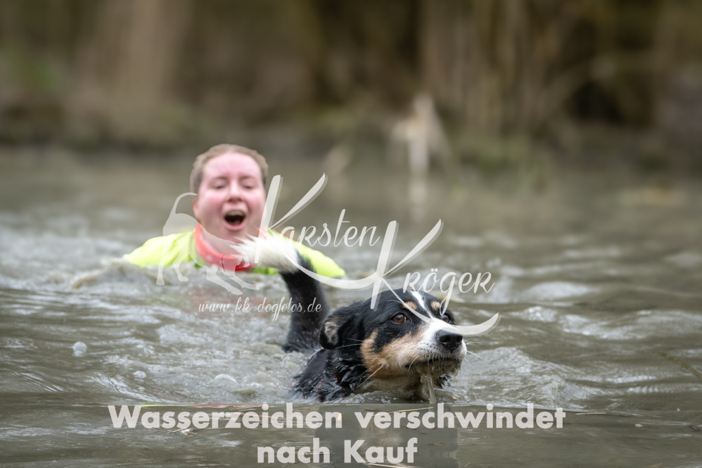 1112_ZZ97459 | kk-dogfotos