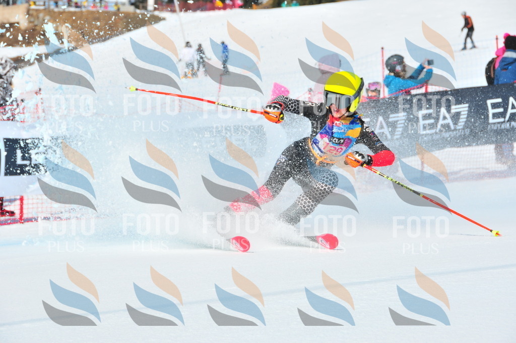 DSC_4866 | holidayphoto