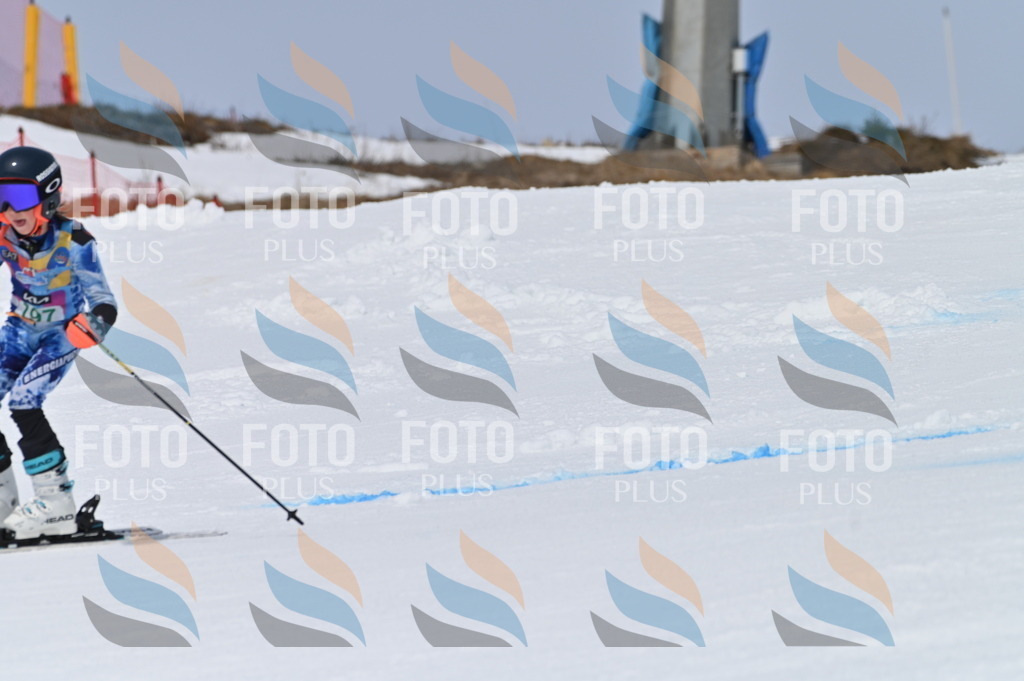 BGV_3794 | holidayphoto