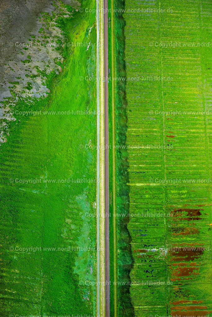 Sylt_Hindenburgdamm_ELS_8749130825 | SYLT 21.06.2025 Wattenmeer der Nordsee- Küste am Hindenburgdamm in Sylt im Bundesland Schleswig-Holstein. // Wadden Sea of North Sea Coast on Hindenburgdamm in Sylt in the state Schleswig-Holstein. Foto: Martin Elsen