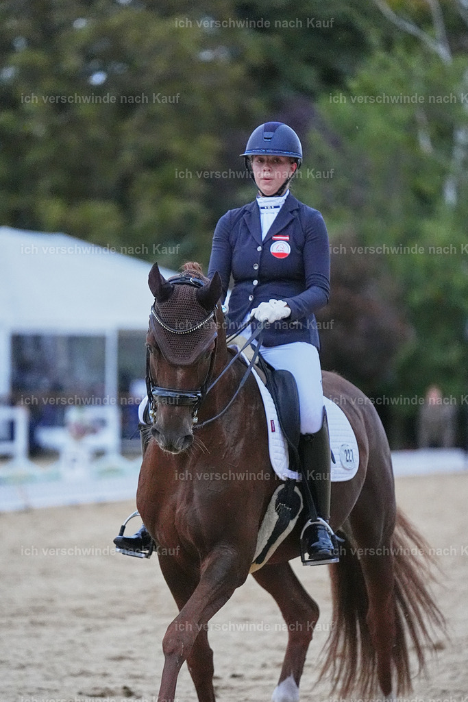 04_2-227-Dressur M__ -Marixx-3096 | working equitationturnier fotograf videograf stoibphotography marixx film working equitation deutschland reitsport turnierfotografie eventfotografie equestrian events