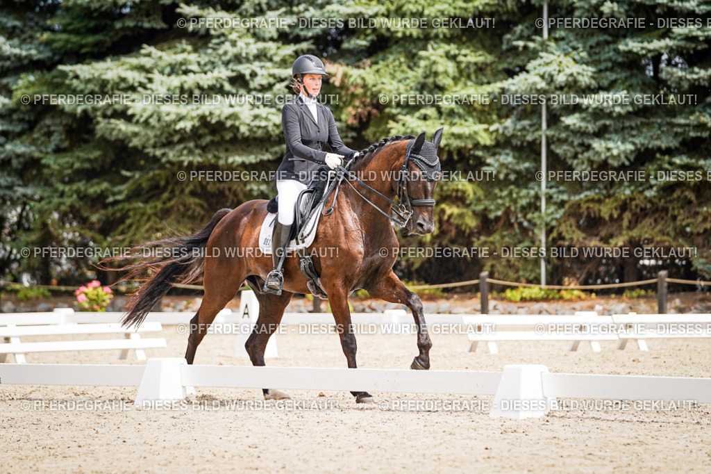 DSC03484 | Pferdegrafie