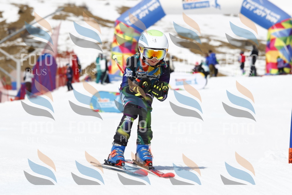 _U3G8270 | holidayphoto