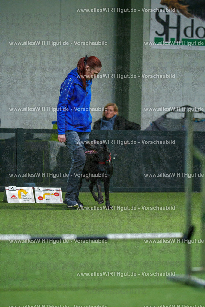 7R504126 | Professionelle Tierfotografie in Mönchengladbach von Daniel Wirth (allesWIRTHgut). Liebevolle & natürliche Bilder von Hunden & Katzen für unvergessliche Erinnerungen.