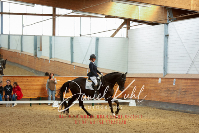 _62_6861 | Turniersportfotografie; Pferdefotografie; Dressurfotografie