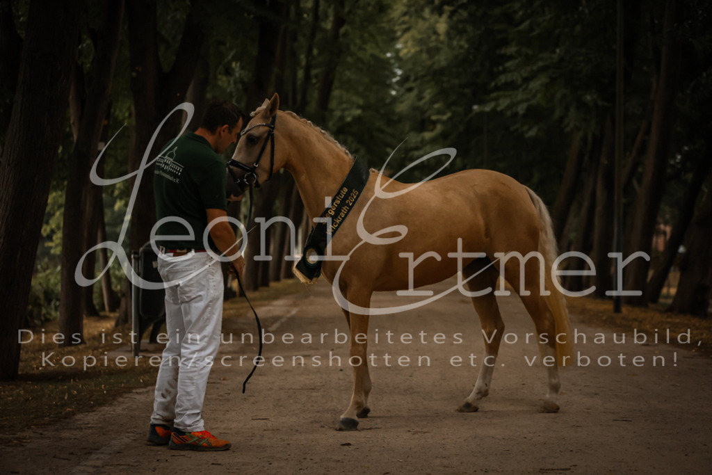 10.-12.Elite00159 | Leoni Ertmer Photography - Realisiert mit Pictrs.com
