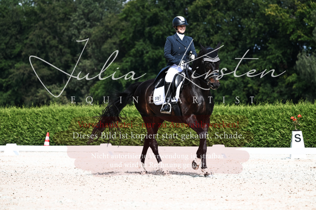 DSC_3316 | Pferde- und Turnierfotografie in Westsachsen. Pferdeportraits, Auftragszeichnungen und intuitive Kunst.