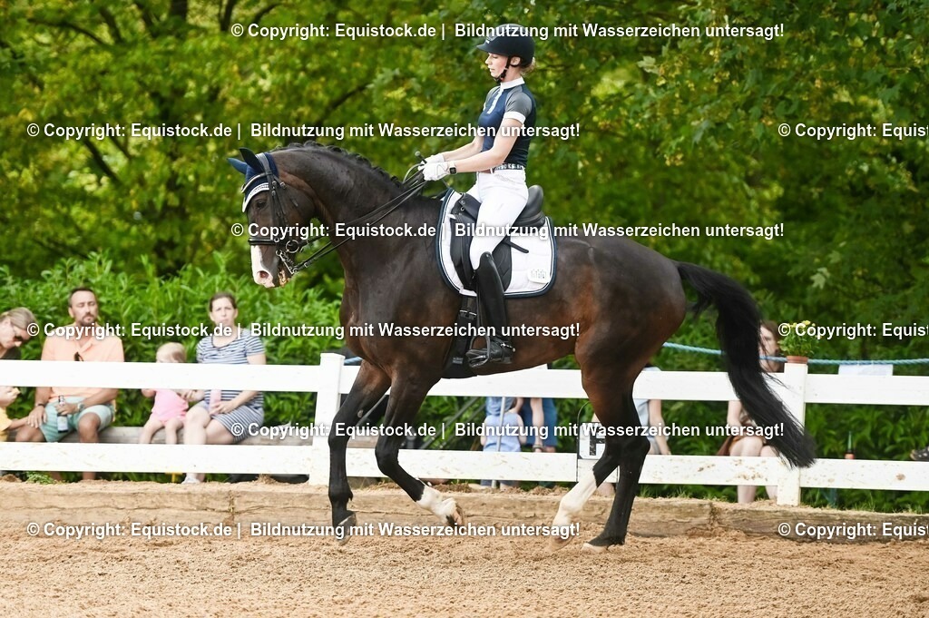20230716_01_Dressurprüfung Kl.M_0491 | equistock