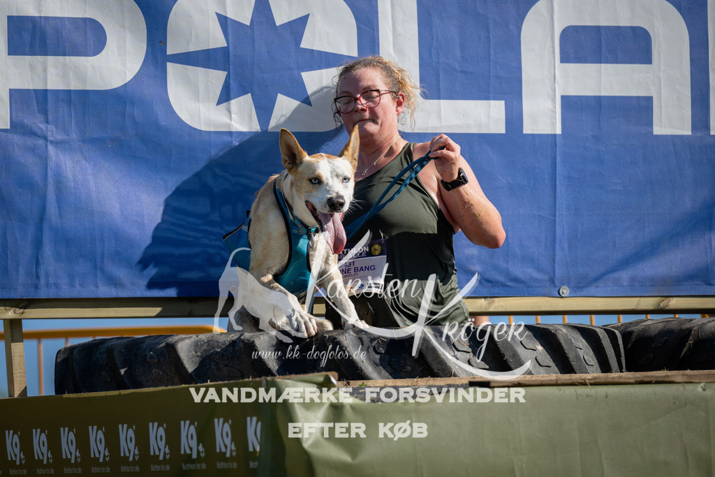 1003_ZZ97339 | kk-dogfotos