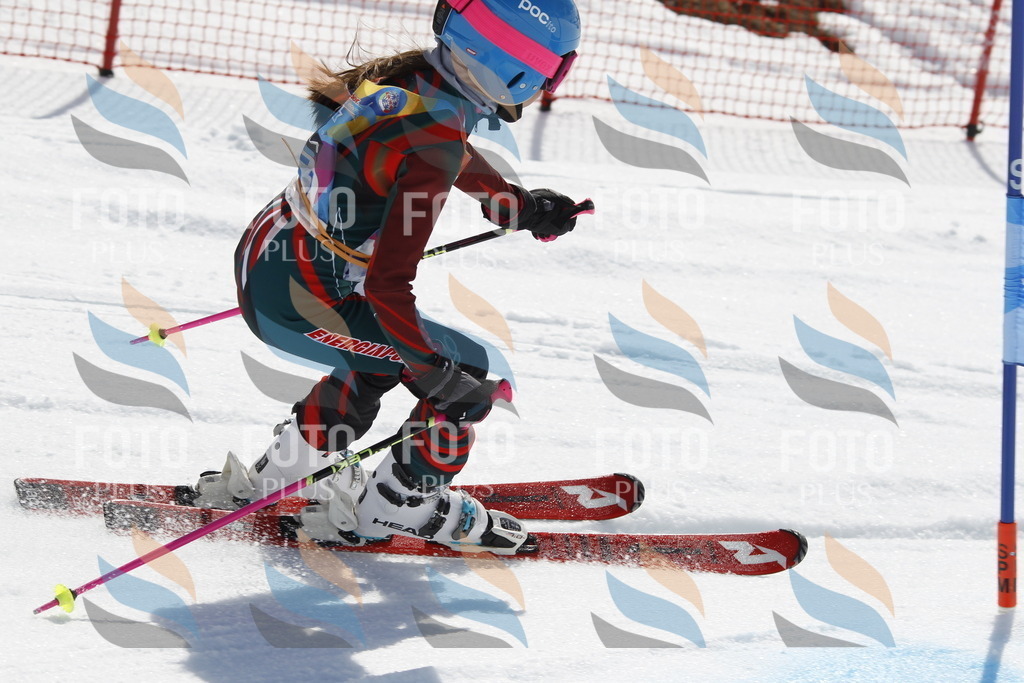 _U3G1252 | holidayphoto