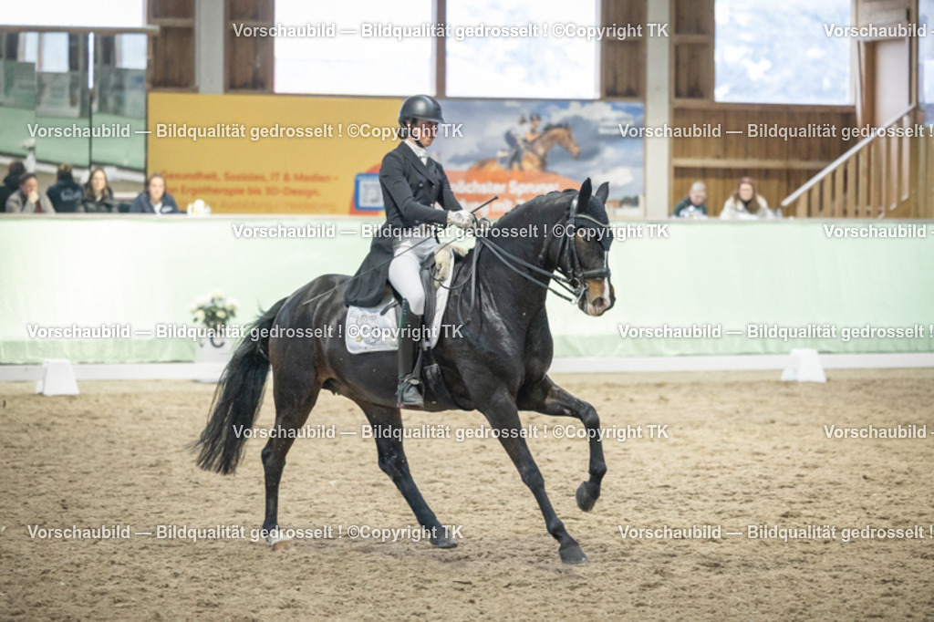 _D5A7036 | Emotionale Pferde- & People-Fotografie rund um Heidelberg, Leimen & Umgebung. Natürliche Fotos von Pferd, Mensch & Familie. Jetzt Termin sichern!