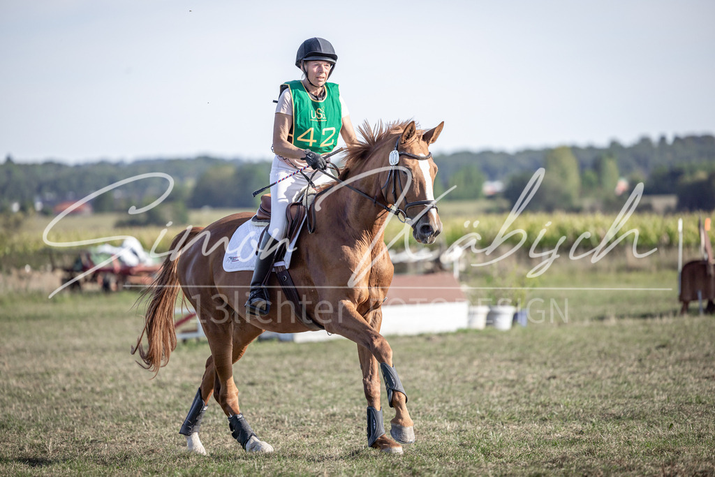 20250907-_3LI4354 | Tierfotografie Pferde, Hunde, Katzen, Haustiere.
Turnierfotografie Reitturniere, Reiten, Springreiten, Dressur in Hanau, dem Main-Kinzig-Kreis und dem Rhein-Main- Gebiet um Frankfurt