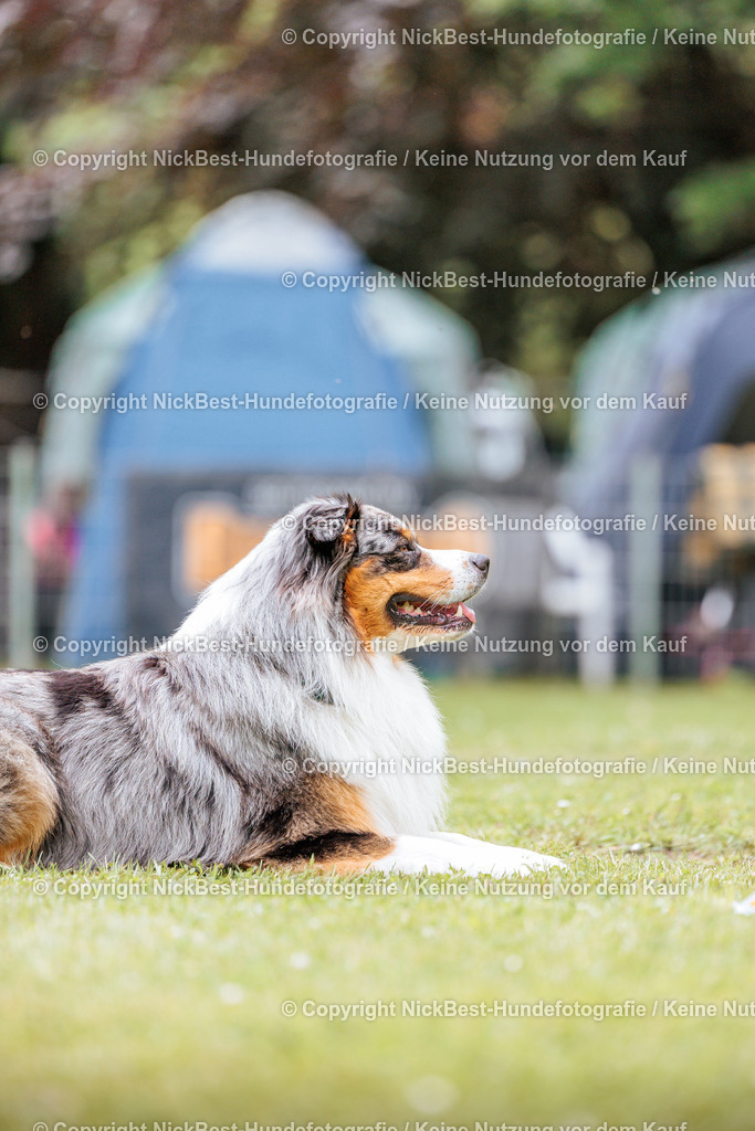 RO-Blumenthal-2026-Nickbest-Hundefotografie-2453 | Dein Hund! Dein Moment! Deine Erinnerungen! Hundefotografie in Bremen Blumenthal. Ich fange die besonderen Momente deines Vierbeiners ein – ob Indoor mit Blitzanlage oder in der freien Natur. Sicher dir dein Moment und dein Termin für eure Erinnerungen.
