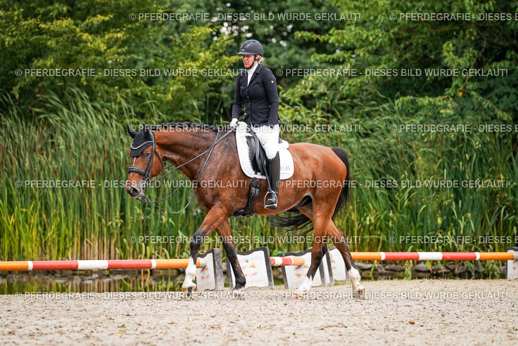 DSC04261 | Pferdegrafie