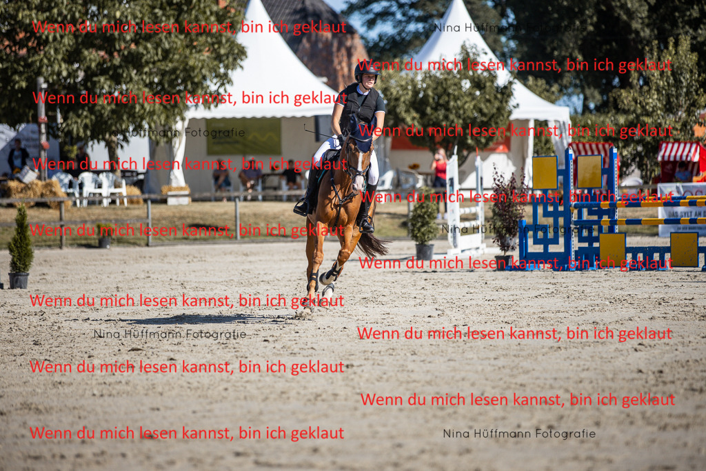 BK1A7192 | Turnierbilder Turnierfotos Nina Hüffmann Turnierfotografie Pferdefotografie Tierzeichnung Haustierzeichnung Pferdezeichnung Hundezeichnung Videograf  - Realisiert mit Pictrs.com