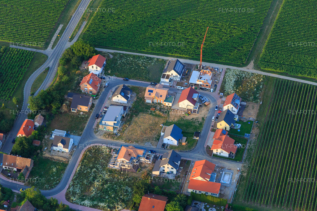 Luftbild: Neubaugebiet Frankenring in Kleinfischlingen im Bundesland Rheinland-Pfalz in Deutschland. Foto: IMG_082793.jpg vom 25.06.2015 durch Werner Riehm/FLY-FOTO.de