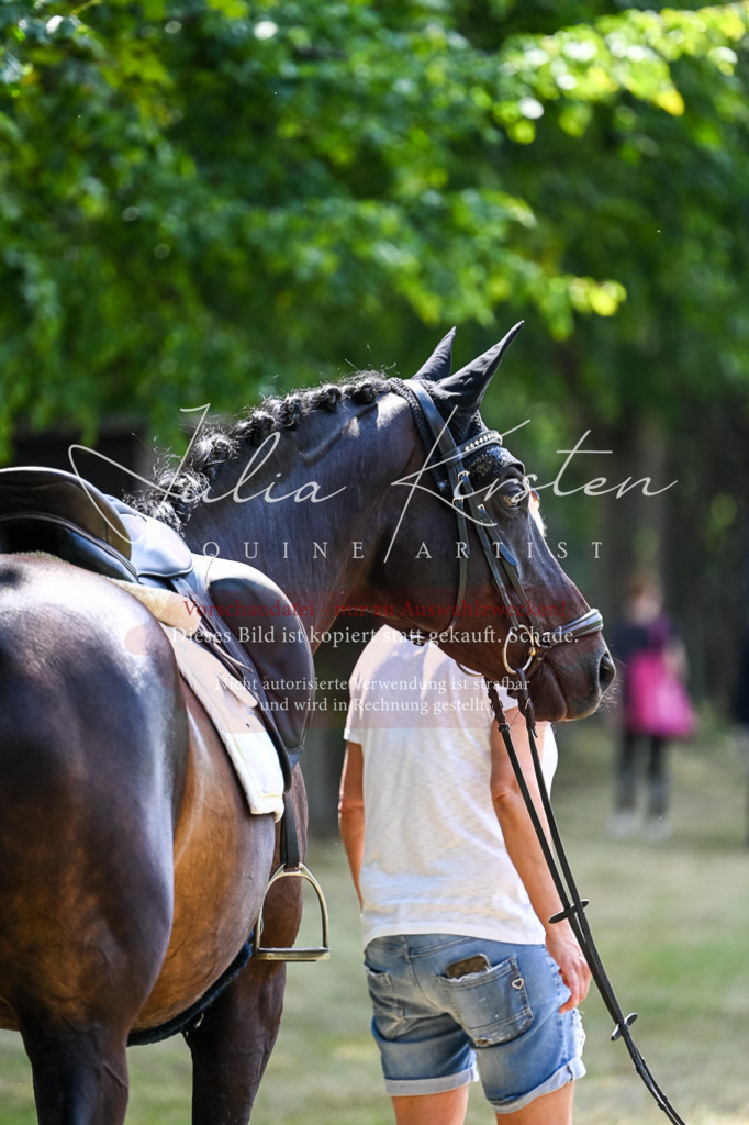 DSC_2759 | Pferde- und Turnierfotografie in Westsachsen. Pferdeportraits, Auftragszeichnungen und intuitive Kunst.