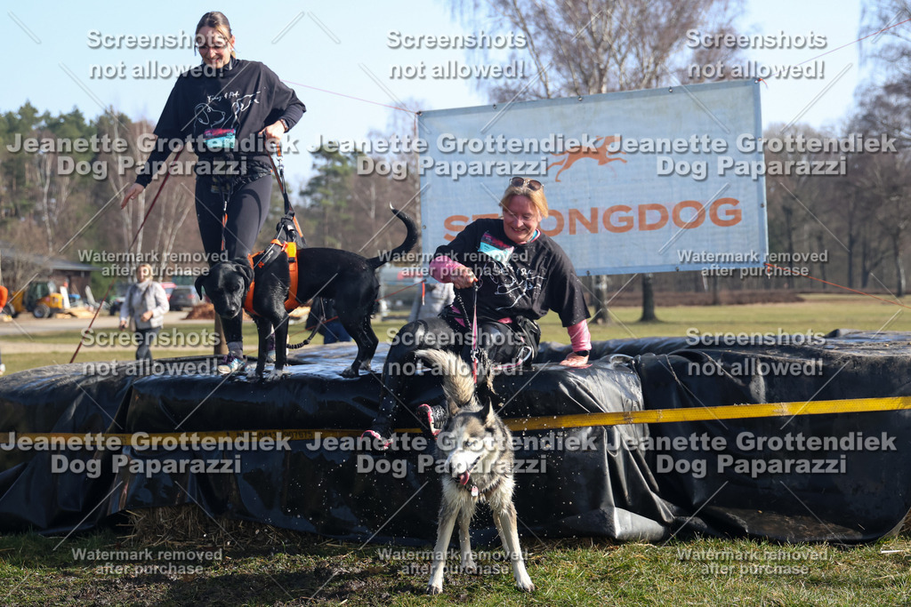 Dog Paparazzi - Strongdog North Mrz26-1392 | Dog Paparazzi Jeanette Grottendiek Fotografie & Videografie - Realisiert mit Pictrs.com