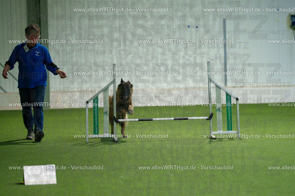 7R507892 | Professionelle Tierfotografie in Mönchengladbach von Daniel Wirth (allesWIRTHgut). Liebevolle & natürliche Bilder von Hunden & Katzen für unvergessliche Erinnerungen.