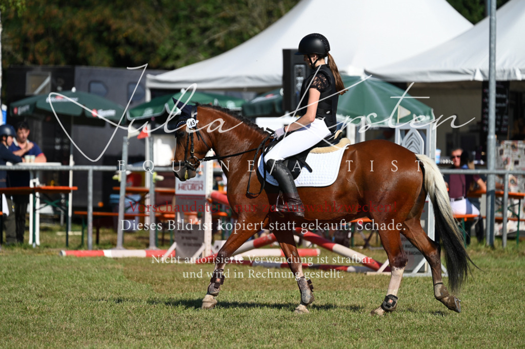 DSC_5335 | Pferde- und Turnierfotografie in Westsachsen. Pferdeportraits, Auftragszeichnungen und intuitive Kunst.
