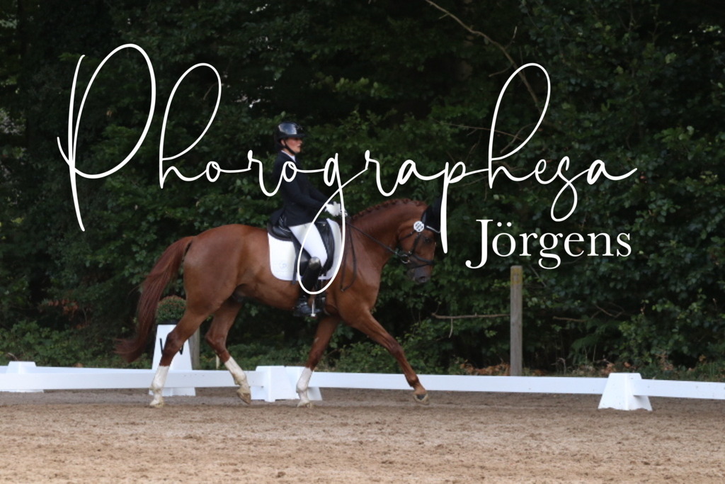 IMG_0275 | photographesa-joergens - Realisiert mit Pictrs.com