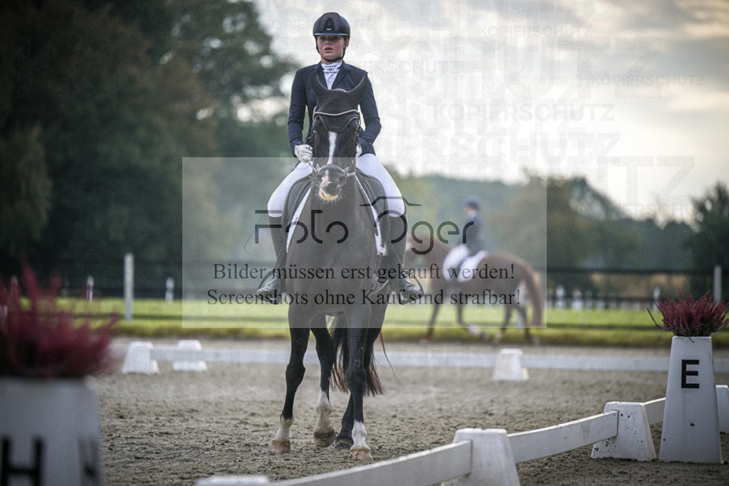 DOS_2676 | Entdecke hochwertige Reitturnierfotos von Foto Oger. Professionell, emotional und authentisch – jetzt Lieblingsmomente im Shop bestellen.Deutschlandweite Turnierfotografie. - Realisiert mit Pictrs.com