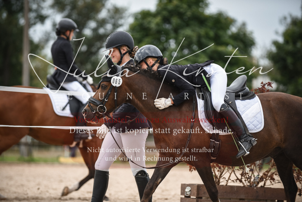 DSC_8192 | Pferde- und Turnierfotografie in Westsachsen. Pferdeportraits, Auftragszeichnungen und intuitive Kunst.