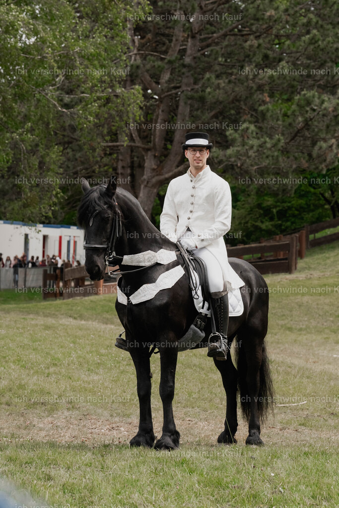 Showprogramm-212 | working equitationturnier fotograf videograf stoibphotography marixx film working equitation deutschland reitsport turnierfotografie eventfotografie equestrian events