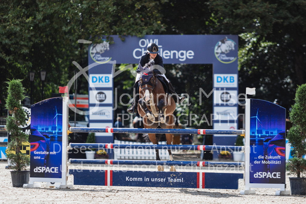 240912_OWLCh_AmateurM-403 | Deine schönsten Turniermomente als professionelle Fotos! Entdecke hochwertige Pferdesport-Fotografie im Online-Shop. Jetzt Fotos finden & bestellen!