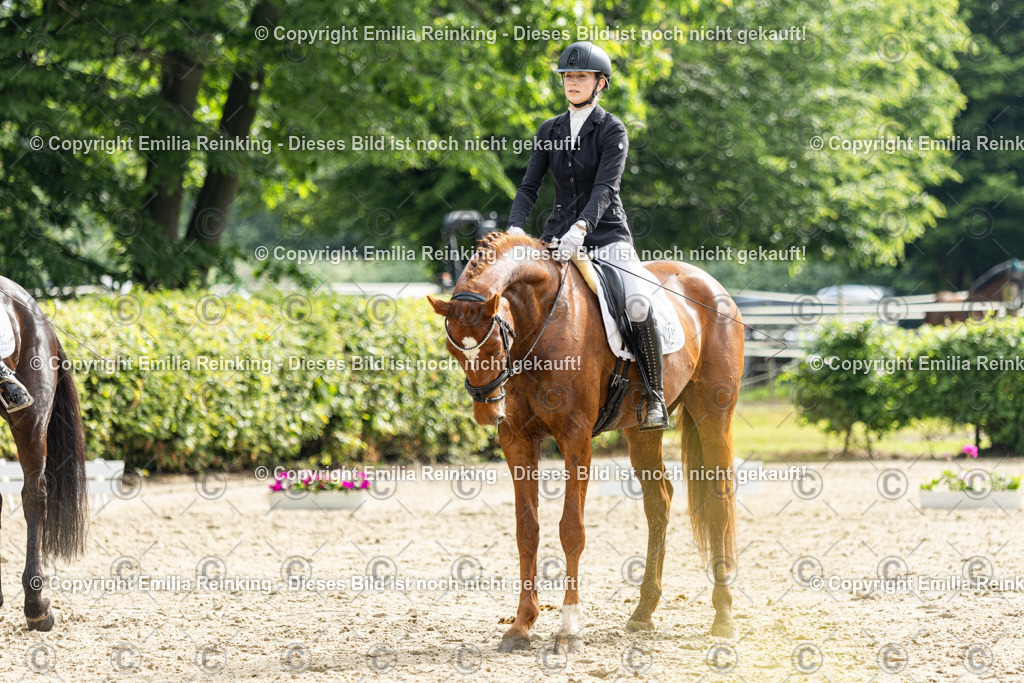 CL5A4514 | Emilia Reinking Fotografie - Realisiert mit Pictrs.com