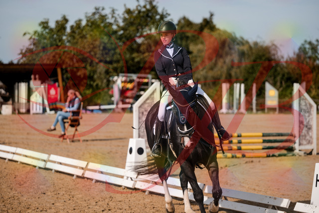 2026_10_03_Siefer-Hof_121423_Z63_39516207 | Professionelle Reitsport-, Turnier- und Eventfotografie von Robert Broda. Galerien mit ausgewählten und bearbeiteten Bildern direkt online ansehen und bestellen.