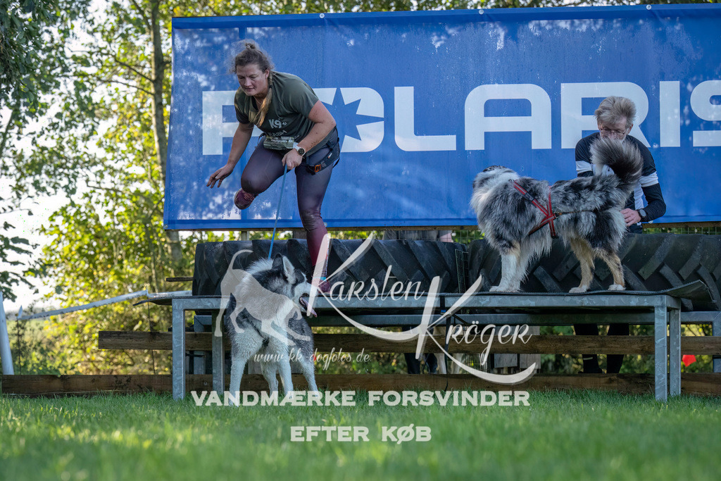 1015--6 | kk-dogfotos