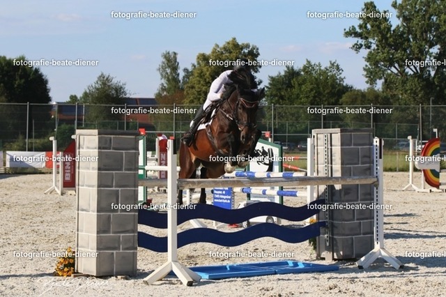 OHT 2022 Röhlingen (132) | Fotografie, Tiere, Hunde, Katzen, Pferde, Sportfotografie, Fotosession, Tierfotografie, Turnierfotografie, Fotografin, Fotograf - Realisiert mit Pictrs.com