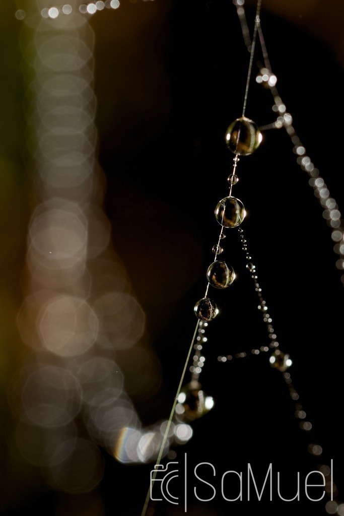 SML_2128 | Sa-Muel - Realisiert mit Pictrs.com