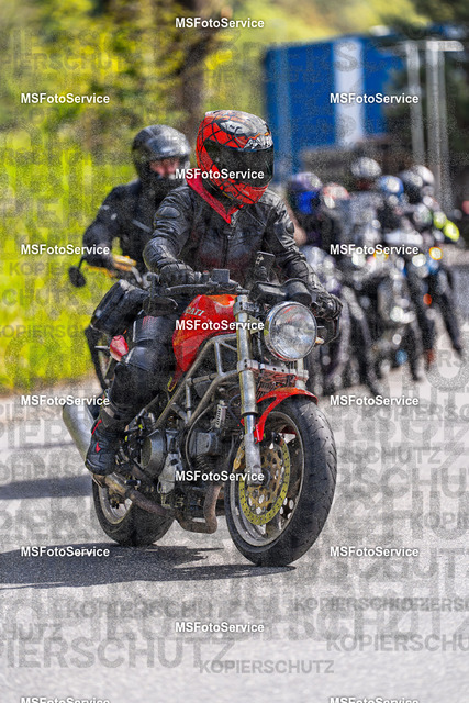 MSFotoService-544 | MSFotoService - Realisiert mit Pictrs.com