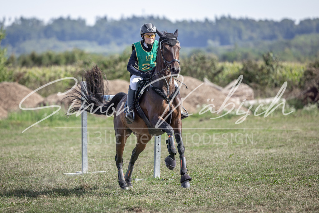 20250907-_3LI2218 | Tierfotografie Pferde, Hunde, Katzen, Haustiere.
Turnierfotografie Reitturniere, Reiten, Springreiten, Dressur in Hanau, dem Main-Kinzig-Kreis und dem Rhein-Main- Gebiet um Frankfurt