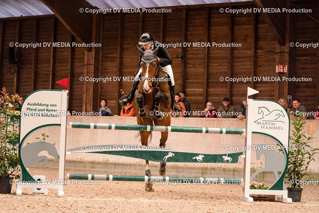 Springen Tag 3-413 | dv-media-shop - Realisiert mit Pictrs.com