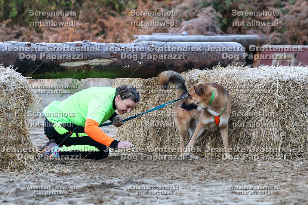 Dog Paparazzi - Strongdog 10-25-296 | Dog Paparazzi Jeanette Grottendiek Fotografie & Videografie - Realisiert mit Pictrs.com