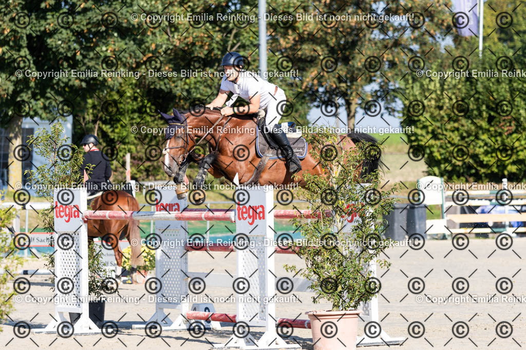 CL5A9638 | Emilia Reinking Fotografie - Realisiert mit Pictrs.com