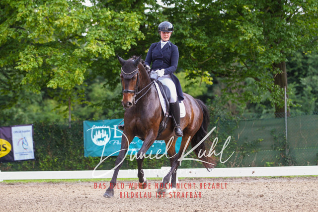 DKP41423 | Turniersportfotografie; Pferdefotografie; Dressurfotografie