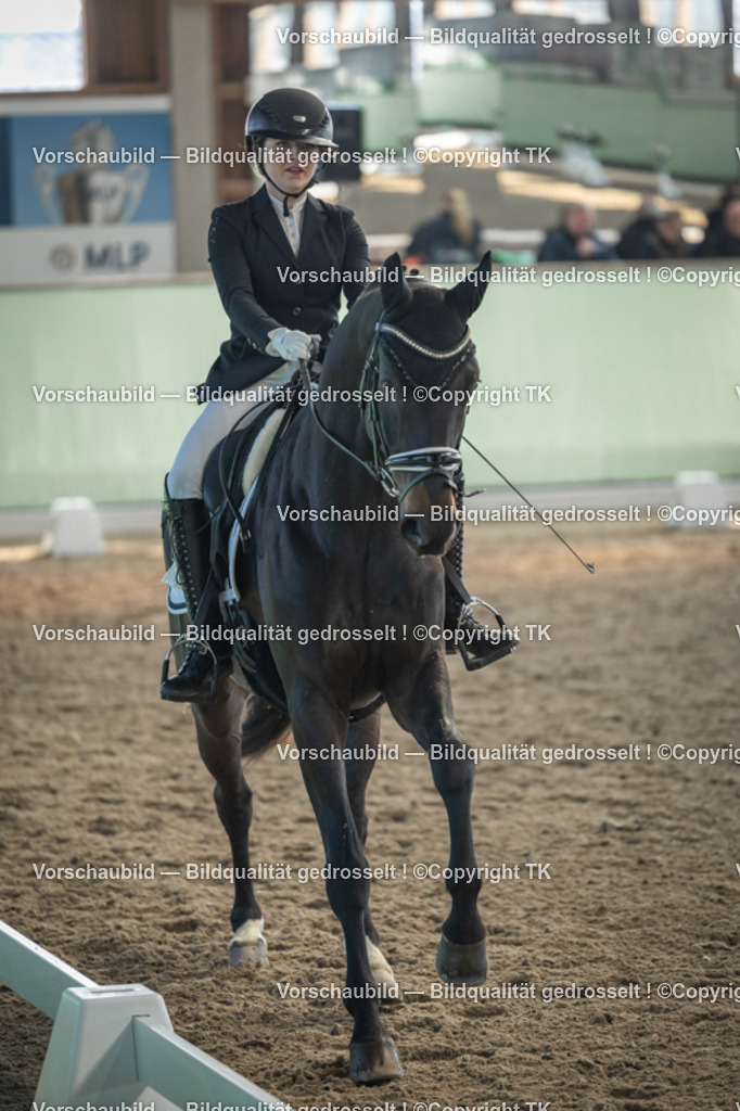 _D5A8495 | Emotionale Pferde- & People-Fotografie rund um Heidelberg, Leimen & Umgebung. Natürliche Fotos von Pferd, Mensch & Familie. Jetzt Termin sichern!