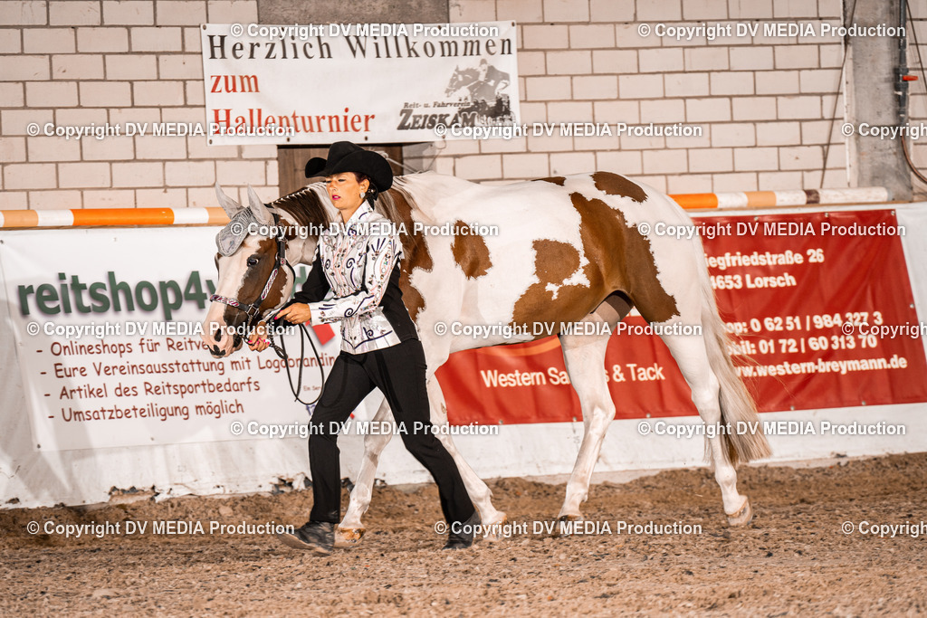 ZH100035 | dv-media-shop - Realisiert mit Pictrs.com