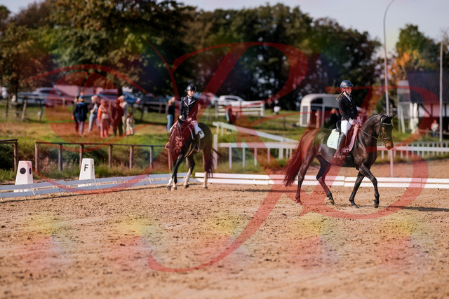 2026_10_03_Siefer-Hof_121404_Z81_15173658 | Professionelle Reitsport-, Turnier- und Eventfotografie von Robert Broda. Galerien mit ausgewählten und bearbeiteten Bildern direkt online ansehen und bestellen.