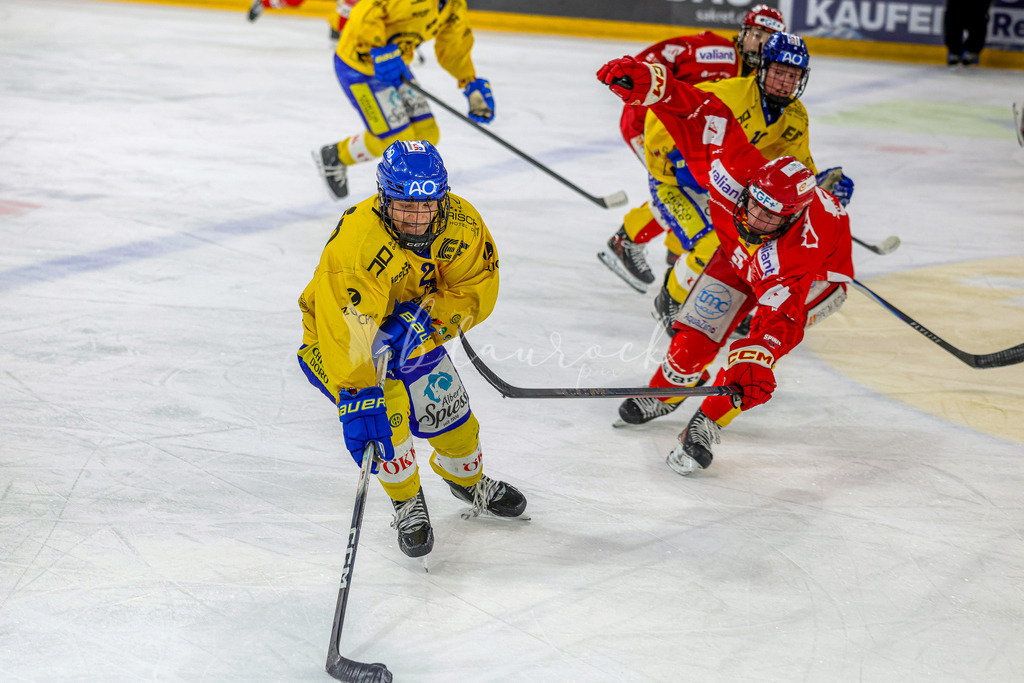 EHCB vs HCD-0085 | Sportbilder, Sportfotograf, Hochzeits- und Eventfotografin, Flugshows, Portraits und Tiershooting, Aviation, Downhill, Nationalleague, Swissleague, International