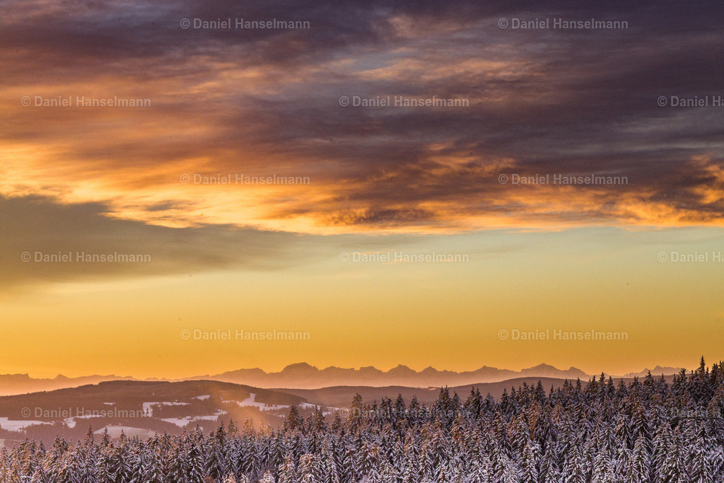 IMG_0284 | Hier finden Sie Poster, Leinwandfotos sowie viele weitere Fotoprodukte mit Motiven aus dem Schwarzwald, aus Freiburg und dem Kaiserstuhl zum Download und zum Bestellen.  - Realisiert mit Pictrs.com