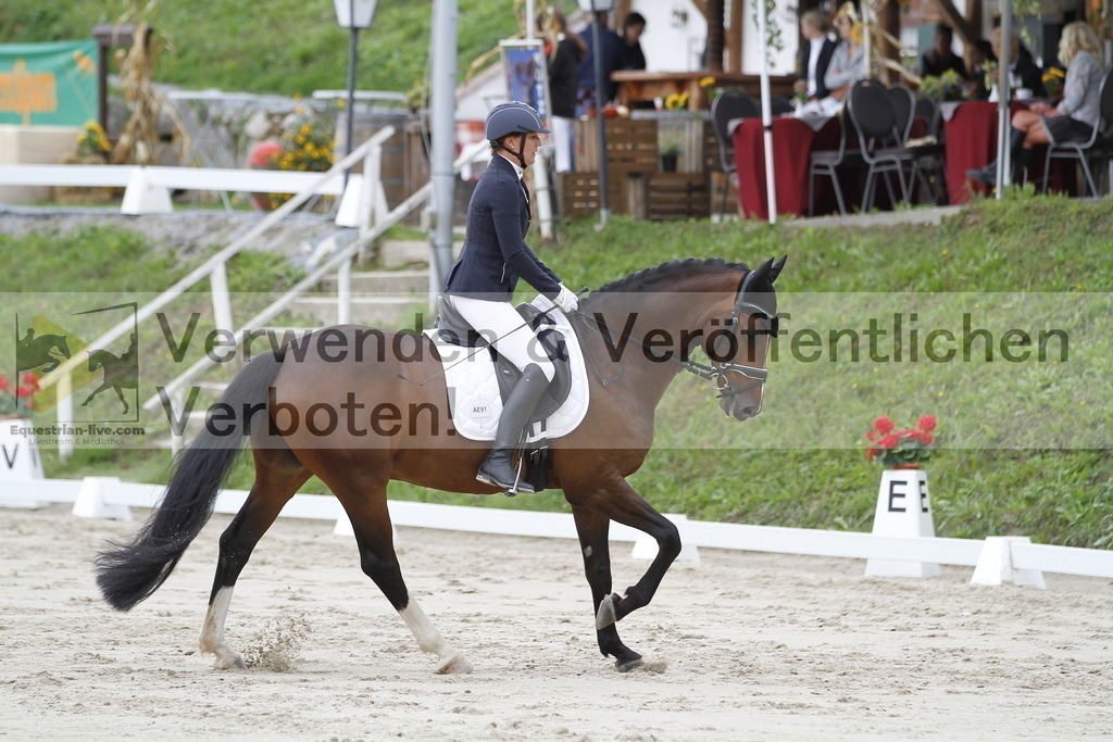 _MG_4288 | equestrian-live-com