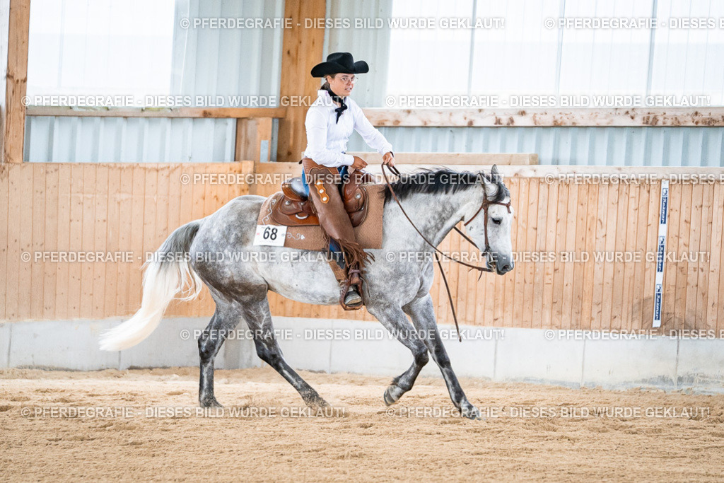 DSC08696 | Pferdegrafie