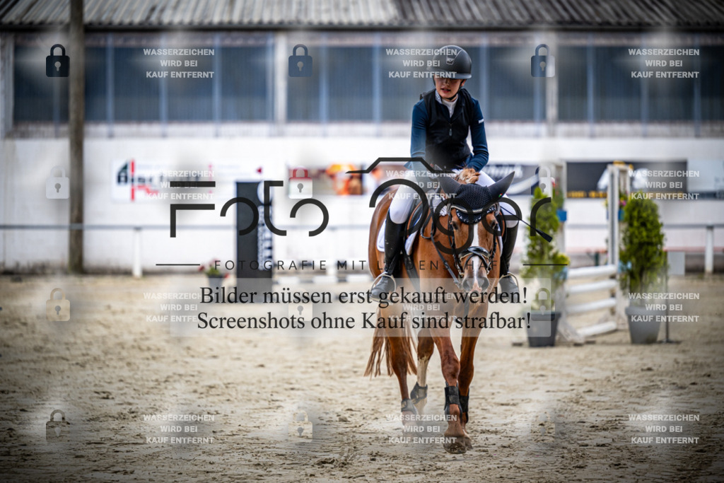 Turnier Laggenbeck 2026-15-0083 | Entdecke hochwertige Reitturnierfotos von Foto Oger. Professionell, emotional und authentisch – jetzt Lieblingsmomente im Shop bestellen.Deutschlandweite Turnierfotografie. - Realisiert mit Pictrs.com