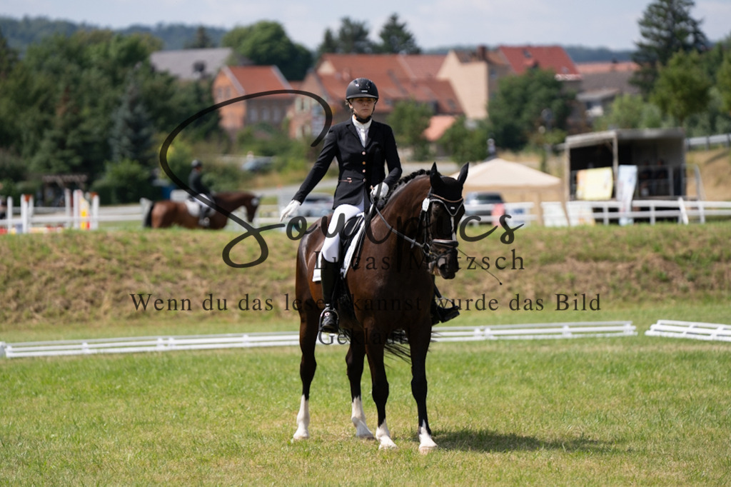 A7V09903 | Pferdefotograf