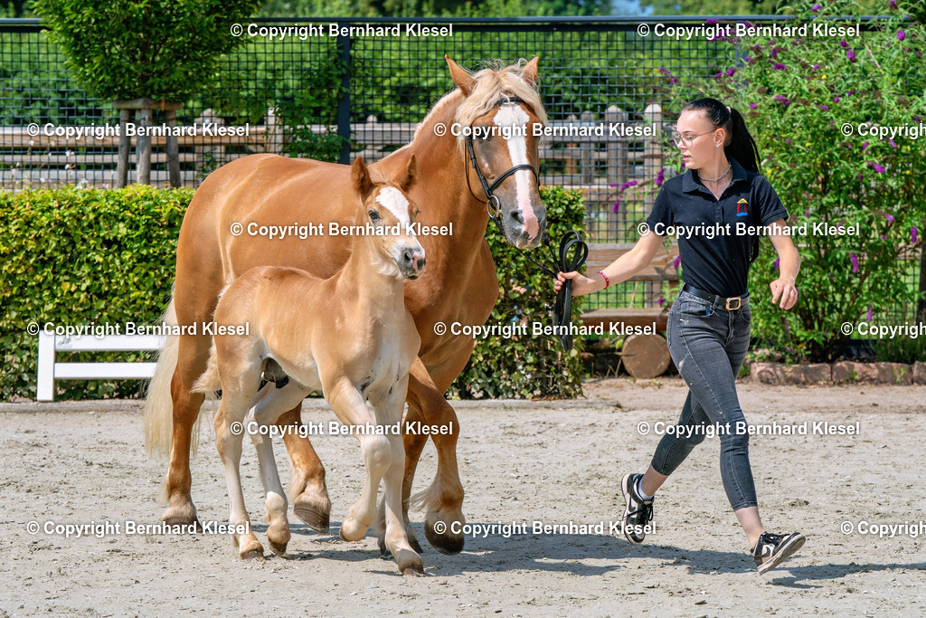 2A900395 | foto-team-bernhard - Realisiert mit Pictrs.com
